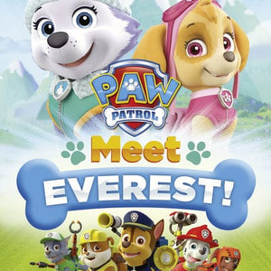Golden Discs DVD Paw Patrol: Meet Everest! - Keith Chapman [DVD]
