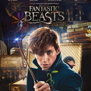 Golden Discs BLU-RAY Fantastic Beasts and Where to Find Them - David Yates [Blu-ray]