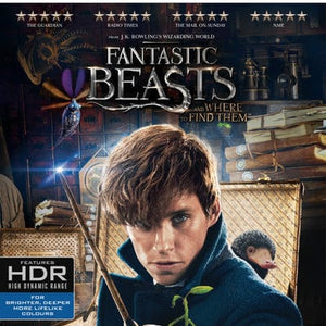 Golden Discs 4K Blu-Ray Fantastic Beasts and Where to Find Them - David Yates [4K UHD]