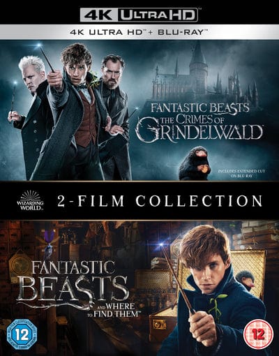 Golden Discs Fantastic Beasts: 2-film Collection - David Yates