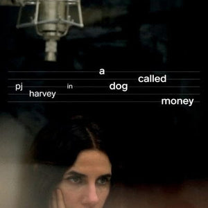 Golden Discs DVD A Dog Called Money - Seamus Murphy [DVD]