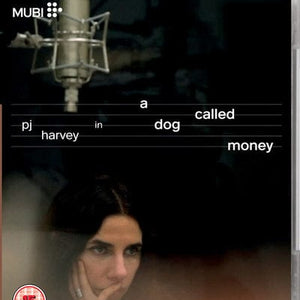 Golden Discs BLU-RAY A Dog Called Money - Seamus Murphy [Blu-ray]