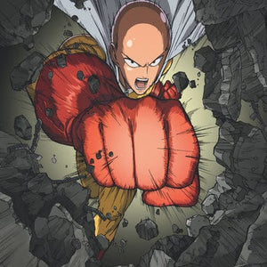 Golden Discs DVD One Punch Man: Collection One - Shingo Natsume [DVD]