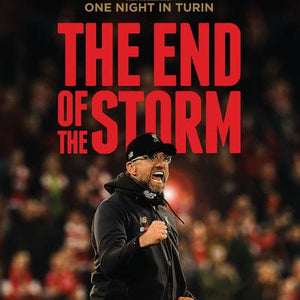 Golden Discs DVD The End of the Storm - James Erskine [DVD]