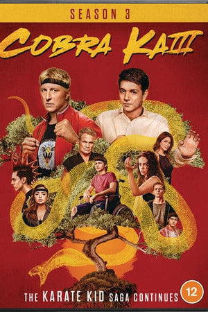 Golden Discs DVD Cobra Kai: Season 3 [DVD]