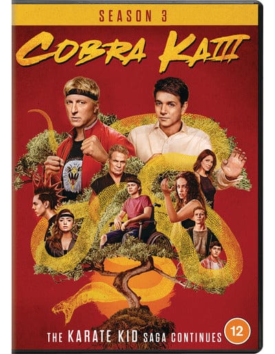Golden Discs DVD Cobra Kai: Season 3 [DVD]
