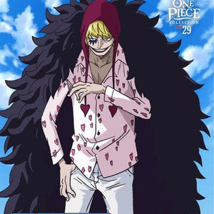 Golden Discs DVD One Piece: Collection 29 - Mike McFarland [DVD]