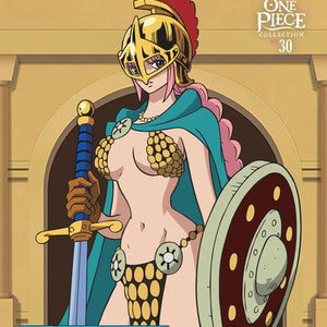 Golden Discs DVD One Piece: Collection 30 - Mike McFarland [DVD]