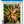 Golden Discs BLU-RAY Amsterdam - David O. Russell [BLU-RAY]