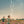 Golden Discs DVD Close - Lukas Dhont [DVD]