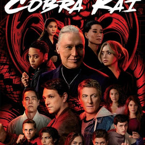 Golden Discs DVD Cobra Kai: Season 5 - Ralph Macchio [DVD]