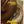 Golden Discs Indiana Jones and the Dial of Destiny - James Mangold