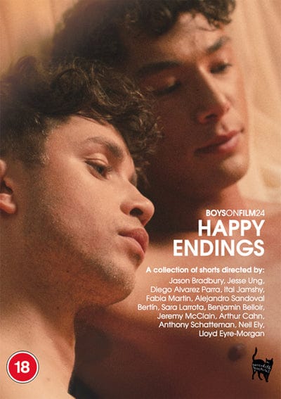 Golden Discs DVD Boys On Film 24 - Happy Endings [DVD]