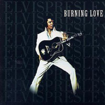Golden Discs CD Burning Love - Elvis Presley [CD]