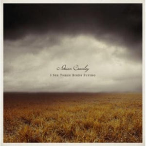 Golden Discs VINYL I See Three Birds Flying - Adrian Crowley [VINYL]