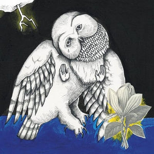 Golden Discs VINYL Magnolia Electric Co.. - Songs: Ohia [VINYL]