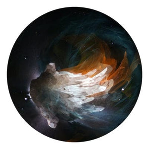 Golden Discs VINYL Lights - The Fauns [VINYL]
