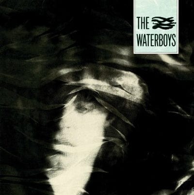 Golden Discs VINYL The Waterboys - The Waterboys [VINYL]
