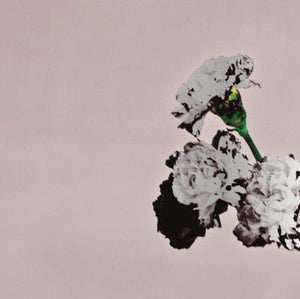 Golden Discs CD Love in the Future - John Legend [CD Special Edition]
