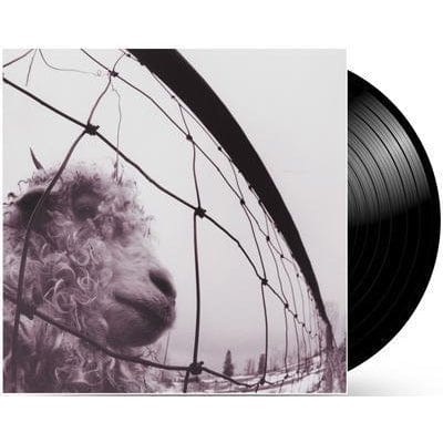 Golden Discs VINYL VS. - Pearl Jam [VINYL]