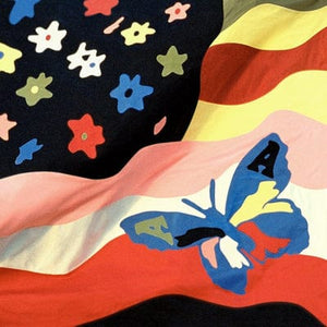 Golden Discs VINYL Wildflower:   - The Avalanches [VINYL Special Edition]