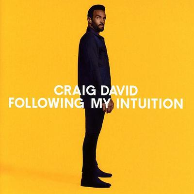 Golden Discs CD Following My Intuition:   - Craig David [CD]