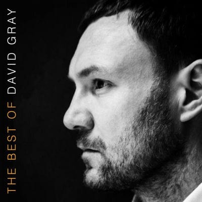 Golden Discs CD The Best of David Gray - David Gray [CD]