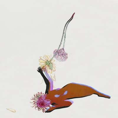 Golden Discs CD The Far Field - Future Islands [CD]