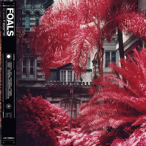 Golden Discs VINYL Everything Not Saved Will Be Lost: Part 1 - Foals [VINYL]