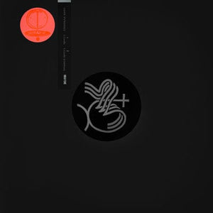 Golden Discs VINYL I, Cavallo:   - Leon Vynehall [VINYL]