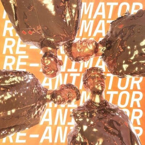 Golden Discs VINYL Re-Animator - Everything Everything [VINYL]