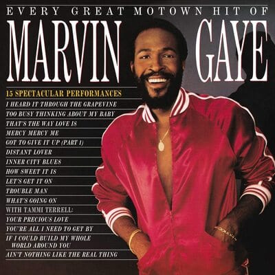 Golden Discs VINYL Every Great Motown Hit of Marvin Gaye - Marvin Gaye [VINYL]