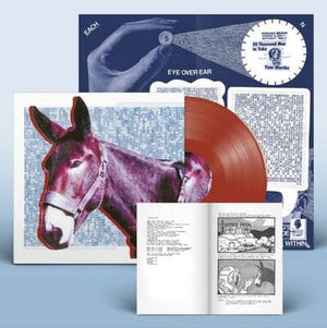 Golden Discs VINYL Ultimate Success Today: Brick Red Coloured Vinyl (LRS IAOTY) - Protomartyr [VINYL Limited Edition]