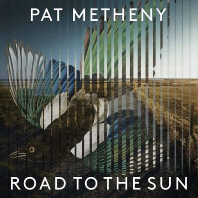 Golden Discs VINYL Road to the Sun - Pat Metheny [VINYL]