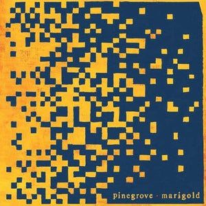 Golden Discs VINYL Marigold:   - Pinegrove [VINYL Limited Edition]