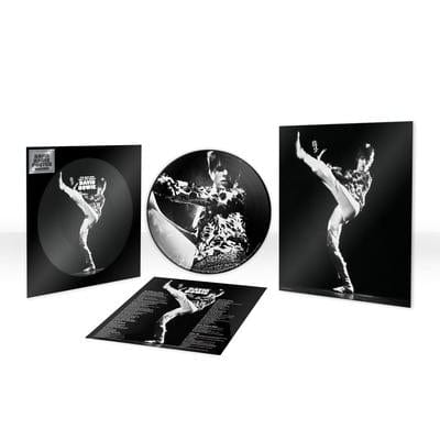 Golden Discs VINYL The Man Who Sold the World (Picture Disc) - David Bowie [VINYL]