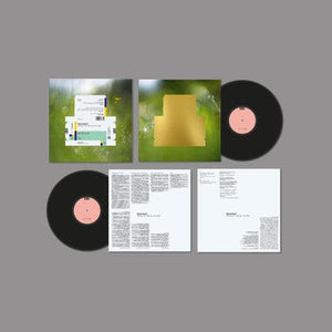 Golden Discs VINYL Everything Was Beautiful:   - Spiritualized [VINYL]