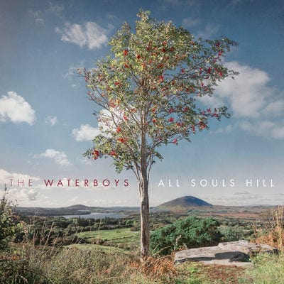 Golden Discs VINYL All Souls Hill:   - The Waterboys [VINYL]