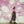 Golden Discs VINYL Sometimes, Forever:   - Soccer Mommy [VINYL Limited Edition]