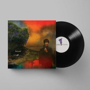Golden Discs VINYL We've Been Going About This All Wrong:   - Sharon Van Etten [VINYL]