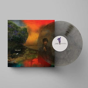 Golden Discs VINYL We've Been Going About This All Wrong:   - Sharon Van Etten [VINYL Limited Edition]