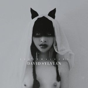 Golden Discs VINYL Sleepwalkers:   - David Sylvian [VINYL]