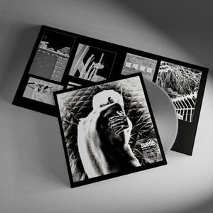 Golden Discs VINYL Autofiction:   - Suede [VINYL]