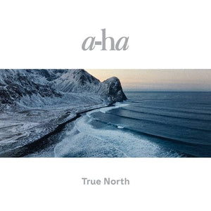 Golden Discs VINYL True North - a-ha [VINYL]