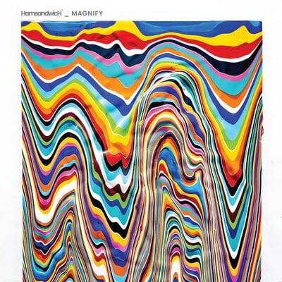 Golden Discs CD Magnify:   - HamsandwicH [CD]