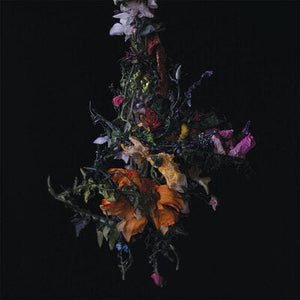 Golden Discs VINYL Nature Morte:   - Big|Brave [VINYL]