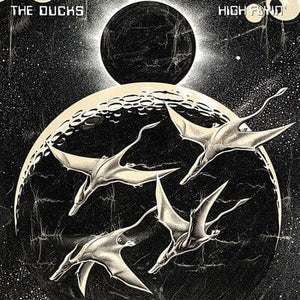 Golden Discs VINYL High Flyin' - The Ducks [VINYL]