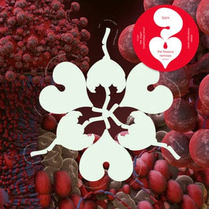 Golden Discs VINYL Ovule (Sega Bodega Remix)/Atopos (Sideproject Remix) (RSD 2023) - Björk [Crystal Clear Vinyl]