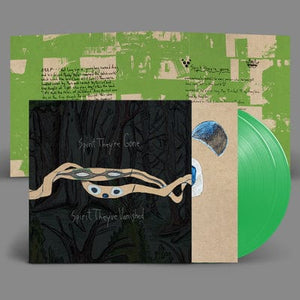 Golden Discs VINYL Spirit They've Gone, Spirit They've Vanisheds - Animal Collective [VINYL Limited Edition]