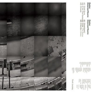Golden Discs VINYL Distorted Rooms - Radian [VINYL]